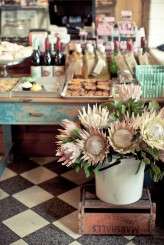 wwwlizellelottercoza-42