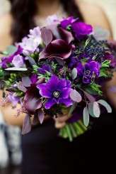 Steve Gerrard Photography