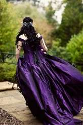 Steve Gerrard Photography