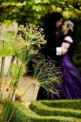 Steve Gerrard Photography