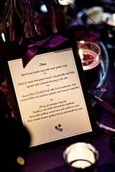 Steve Gerrard Photography