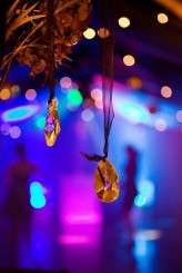 Steve Gerrard Photography