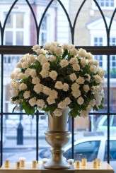 0001 – Allora Visuals