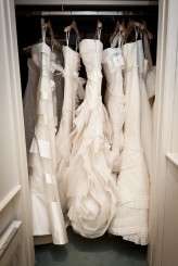 0053 – David Willems Photography