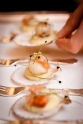 0120 – David Willems Photography