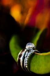 1177241415_TXNES-XL-1