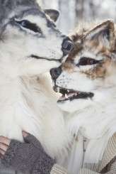 5416400148_27231f7d93_b