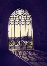 GemmaWilliamsPhotography020