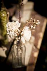 Kevin Meynell_IMG_9725