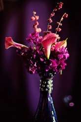 LVXSiGHT_001 (853×1280)