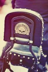 SignatureImages_0250