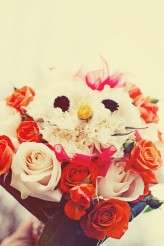 SignatureImages_0277