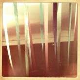 Ashton Jean Pierre Photography-49