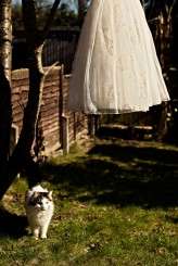 Steve Gerrard Photography106