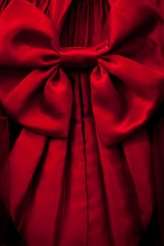 C_C20110319Wedding0033