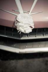 47-maryanne&mark-20100605-4575