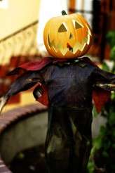 DParkPhotography Tim Burton Wedding 007