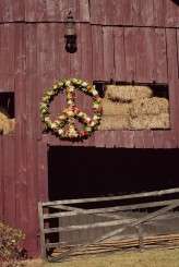 nashville-wedding-photographers-hippiema-4459