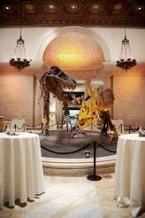 natural_history_alix_shawn 285