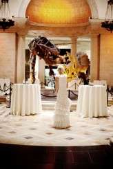 natural_history_alix_shawn 287