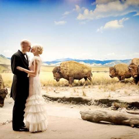 natural_history_alix_shawn 302