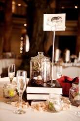 natural_history_alix_shawn 311