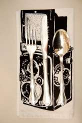 natural_history_alix_shawn 312