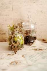 natural_history_alix_shawn 318