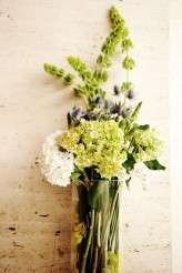 natural_history_alix_shawn 319