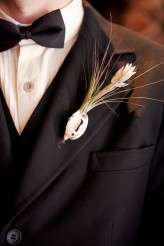 natural_history_alix_shawn 328