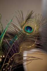 20110521-ASdetails_021