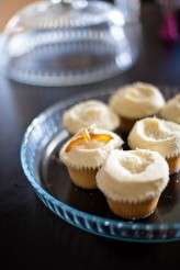 Laurence-and-Gi-0033