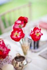 Laurence-and-Gi-0049