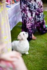 Laurence-and-Gi-0324