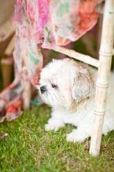 Laurence-and-Gi-0372