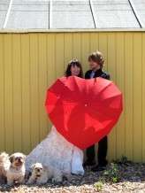 yellow hut plus heart