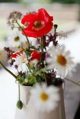 004_iain_and_francesca