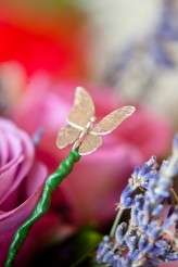 Maria-and-Chris-0093