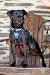 Maria-and-Chris-0101