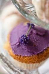 Maria-and-Chris-0206