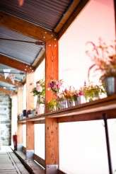 Maria-and-Chris-0236