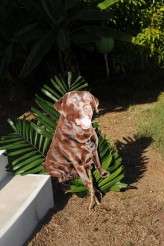 hubbardphotography01043d