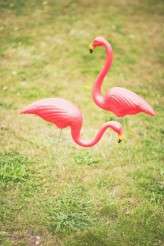 shelldemar rock n roll wedding 070