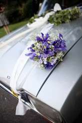 AntoniaStuart_030911_0624