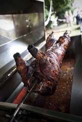 AntoniaStuart_030911_0664