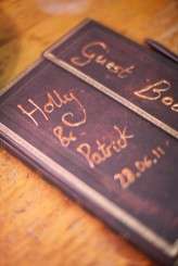 Horse and Carriage Wedding 65