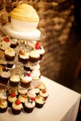 Horse and Carriage Wedding 67