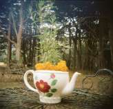 86040010_Holga_SonyaYruel