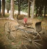 86040011_Holga_SonyaYruel