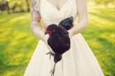 Farm_Bride 337